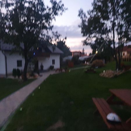 Pensiunea Transilvania Covasna Exterior foto